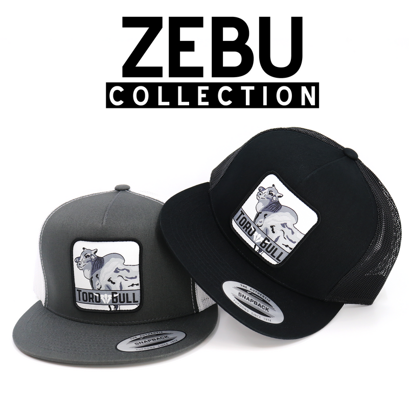 Zebu Collection